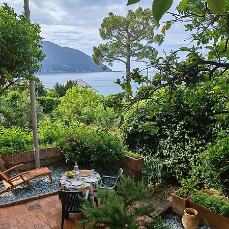 B&B La Taverna Di Mulinetti Recco Kültér fotó
